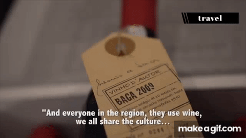 The distinctive Buçaco wines of Portugal, bridging the gap between the Dão and Bairrada regions.